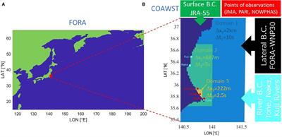 Dynamical Downscaling of Coastal Dynamics for Two Extreme Storm Surge Events in Japan